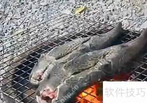 清道夫怎么吃：美味与健康的完美结合