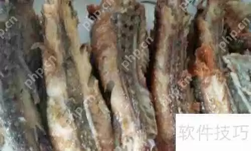 清道夫怎么吃：美味与健康的完美结合