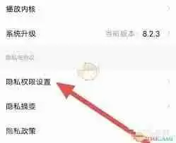知鸟如何设置播放内核