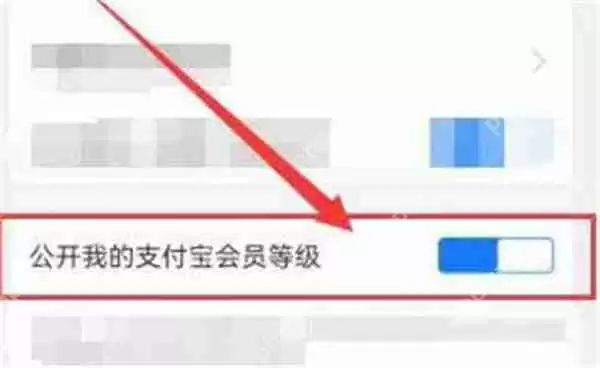 支付宝如何隐藏自己的会员等级