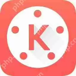 巧影APP怎么添加图片？添加图片的方法介绍