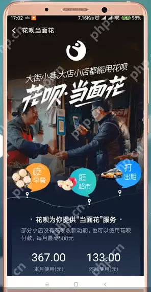 支付宝里花呗当面花怎么使用？使用支付宝里花呗当面花的方法讲解