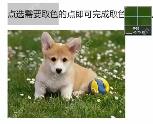 WPS文字取色器使用教程