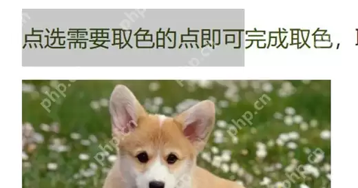 WPS文字取色器使用教程