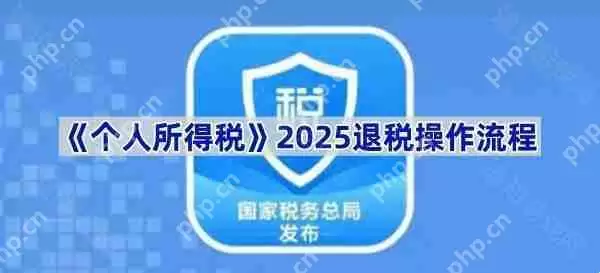 《个人所得税》2025退税操作流程