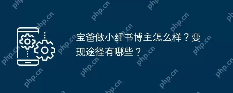 宝爸做小红书博主怎么样？变现途径有哪些？