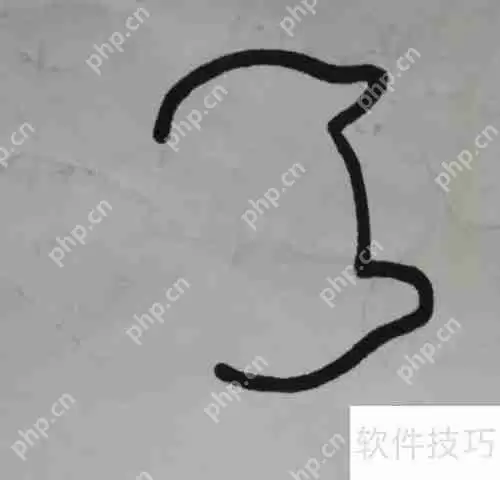 简单又可爱的猫的简笔画，学会画猫只需要5分钟！