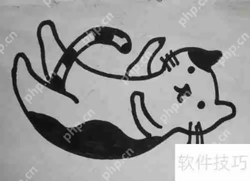 简单又可爱的猫的简笔画，学会画猫只需要5分钟！