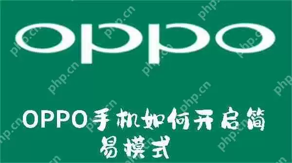 OPPO手机如何开启简易模式