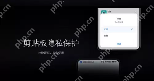 以下关于魅族18系列旗舰手机剪贴板权限的说法中，正确的