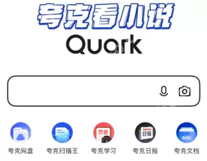 夸克纯净阅读模式怎么开启 夸克纯净阅读模式进入风险网站会怎么样