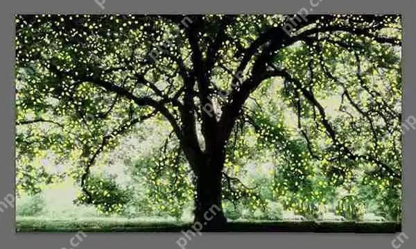 ps怎么为大树添加斑点光源 大树添加斑点光源方法介绍