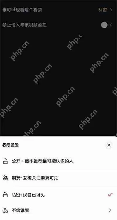 抖音怎么设置私密视频