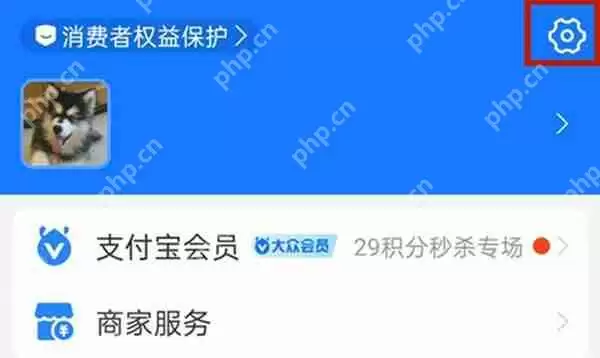 支付宝怎么开启接收陌生人转账