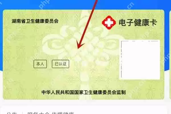 支付宝怎么出示核酸检测报告