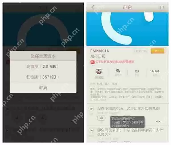 荔枝FM怎么下载节目？