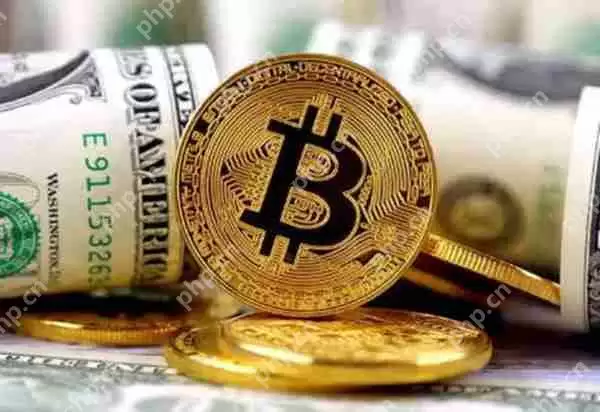 BIX是什么币 BIX币未来会崩盘吗