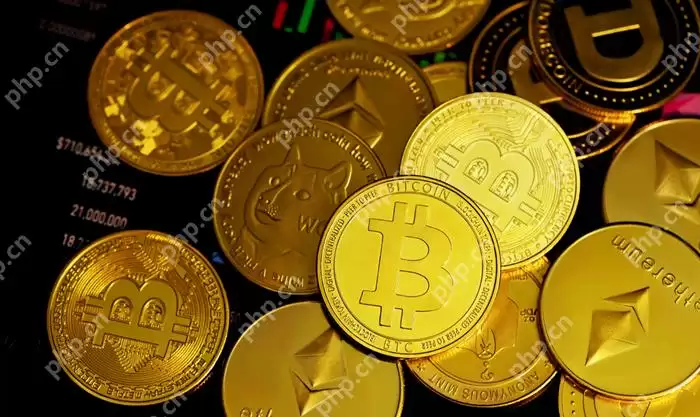 全球币圈十大交易所有哪些 排名前十的货币交易平台2025 - 菜鸟下载