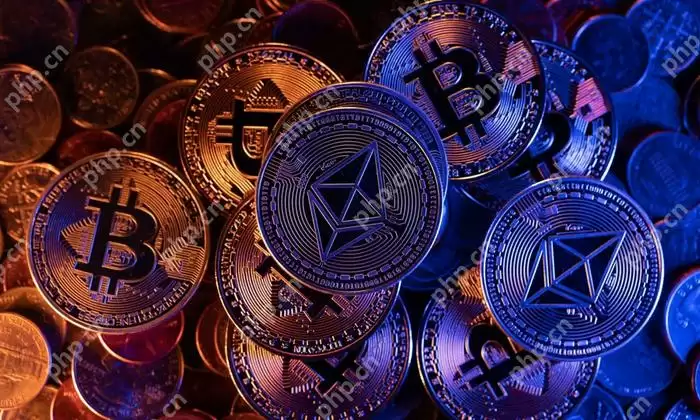 TOP10最安全的数字虚拟货币交易所2025年排行