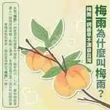 梅雨的梅是什么含义