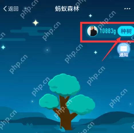 在支付宝里怎么获得蚂蚁森林环保证书？蚂蚁森林环保证书获取方法说明