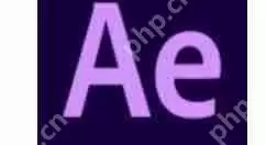 Ae怎么为彩色图片去掉颜色？为彩色图片去掉颜色的详细操作方法分享