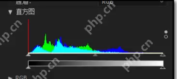 Ae怎么为彩色图片去掉颜色？为彩色图片去掉颜色的详细操作方法分享