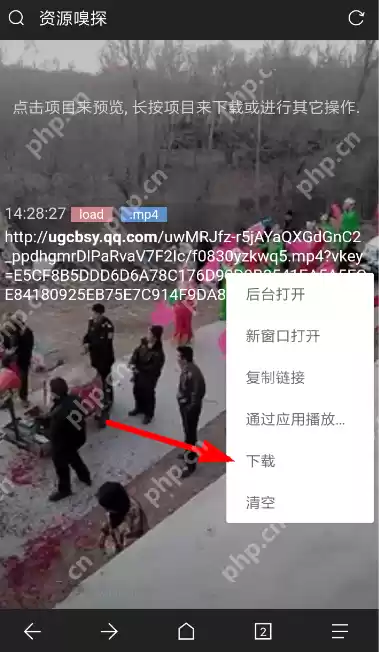 Via浏览器怎么更改下载后缀？更改下载后缀的流程说明