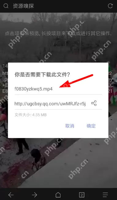 Via浏览器怎么更改下载后缀？更改下载后缀的流程说明