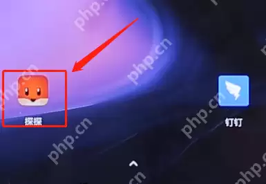 探探APP怎么添加照片？添加照片的步骤一览