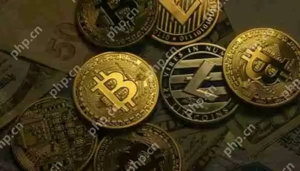 bhg是什么货币 汇付币是做什么用的