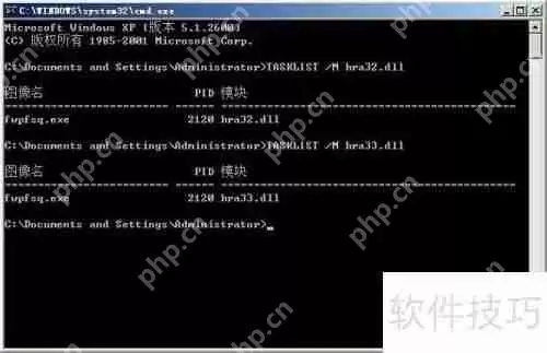 LPK劫持者：一场疯狂的数字绑架案