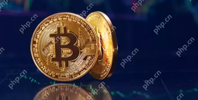 虚拟币app是啥 2024虚拟币app最新排名 - 菜鸟下载