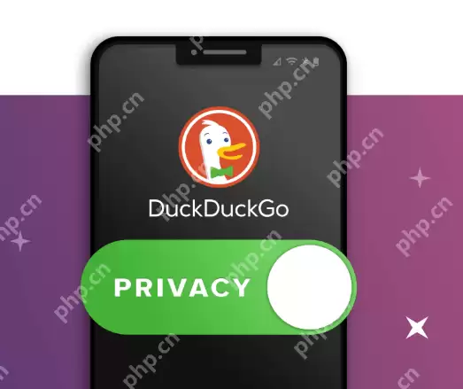 DuckDuckGo浏览器入口_DuckDuckGo浏览器官网直接进 - 游乐网
