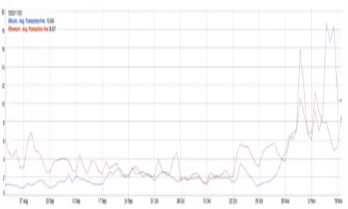 比特币交易费作为主要宣传重点的回报-第2张图片-本站