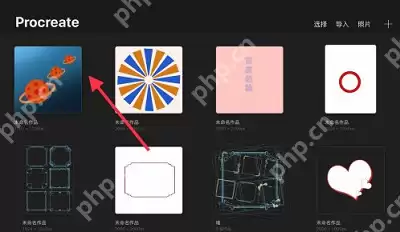 procreate在哪里看绘画时长