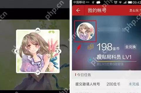 网易新闻APP怎么重新设置头像？重新设置头像的方法说明