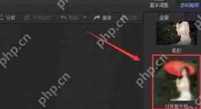 光影魔术手如何制作背景虚化效果图？背景虚化效果图制作步骤一览