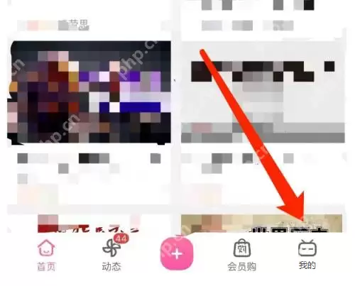 哔哩哔哩如何设置开屏画面 哔哩哔哩设置开屏画面操作方法