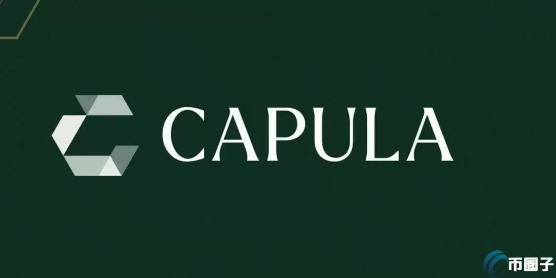 欧洲第4大避险基金Capula报告持有4.64亿美元比特币现货ETF