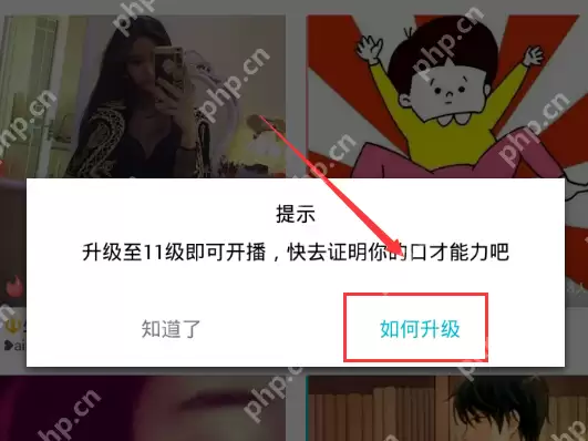 陪我APP怎么进行升级？陪我APP升级的方法介绍