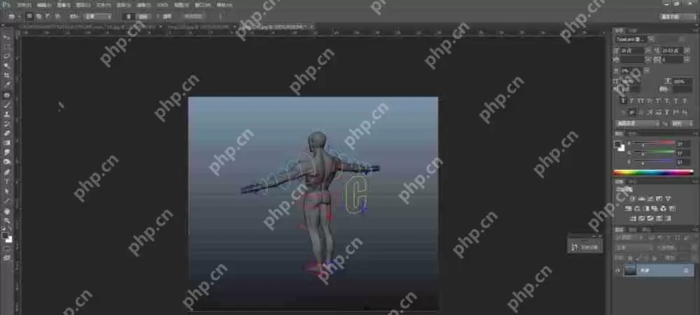 maya如何建模布线人体体块？建模布线人体体块操作流程一览