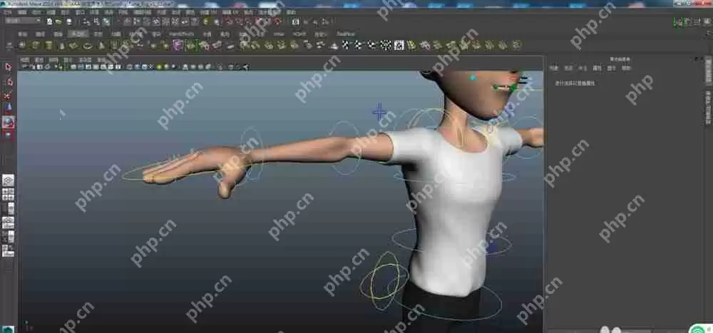 maya如何建模布线人体体块？建模布线人体体块操作流程一览