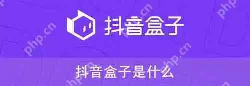 抖音盒子是什么