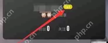 大众点评如何升级到lv8