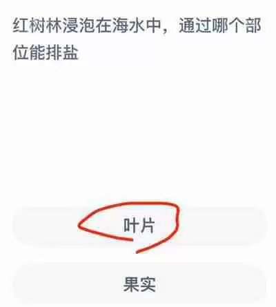 支付宝神奇海洋11.12答案是什么