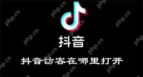 抖音访客在哪里打开