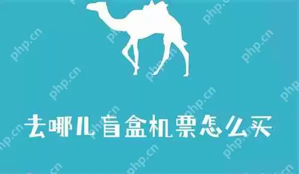 去哪儿盲盒机票怎么买