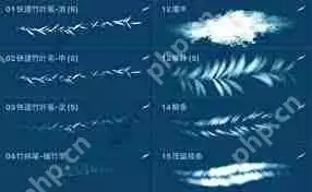 painter柳叶笔在哪里