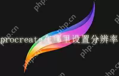 procreate在哪里设置分辨率